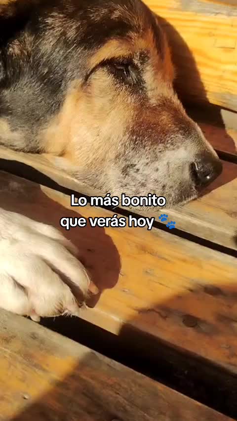 @Josh Franco