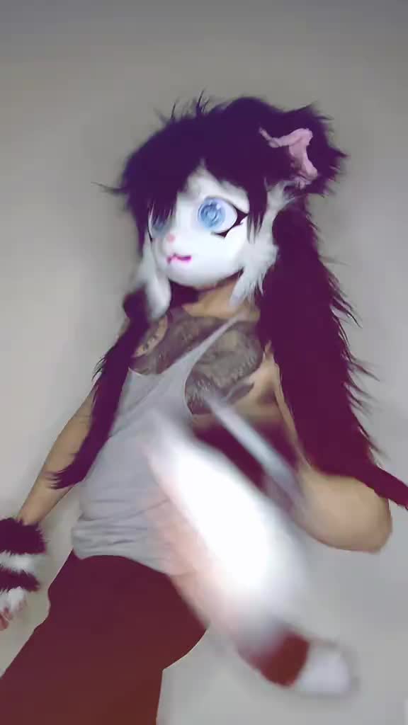 @Queer el gato🏳️🌈