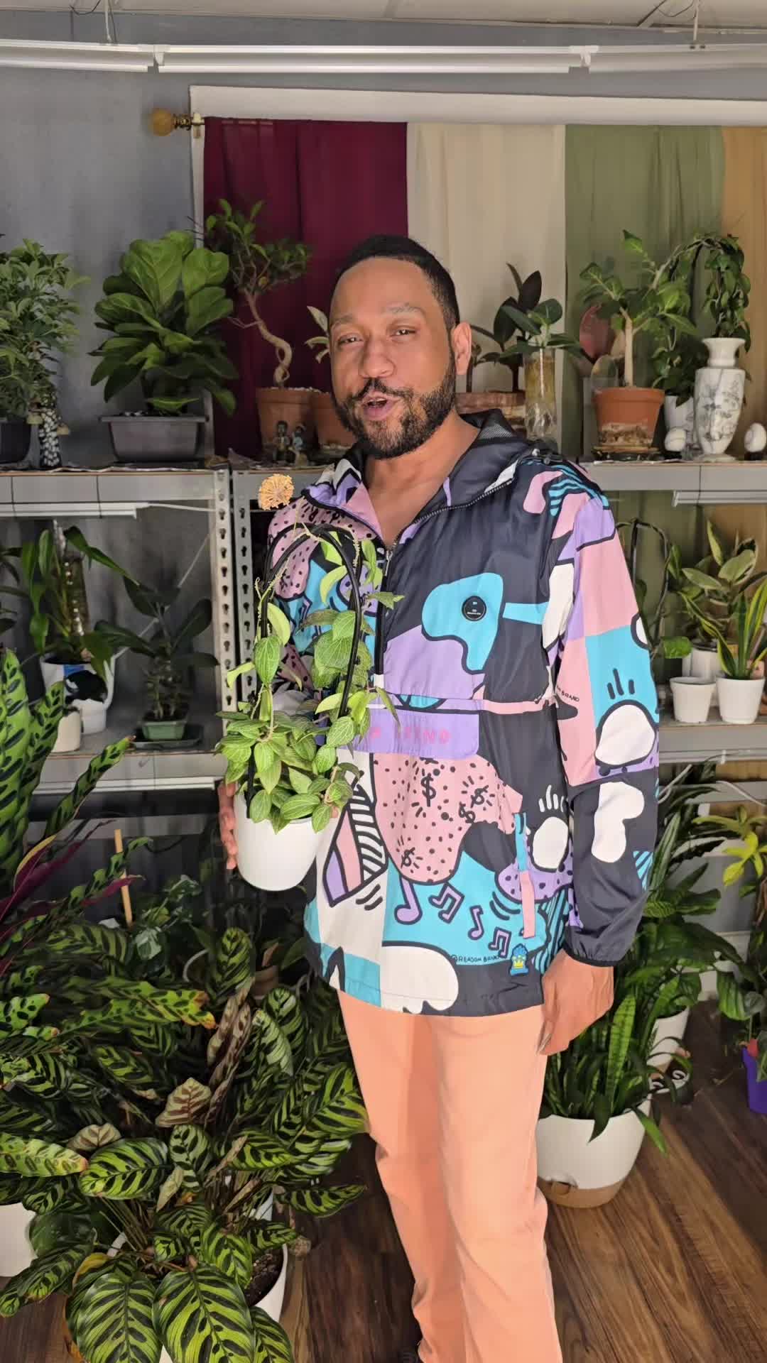 @JT - BigEGOPlants