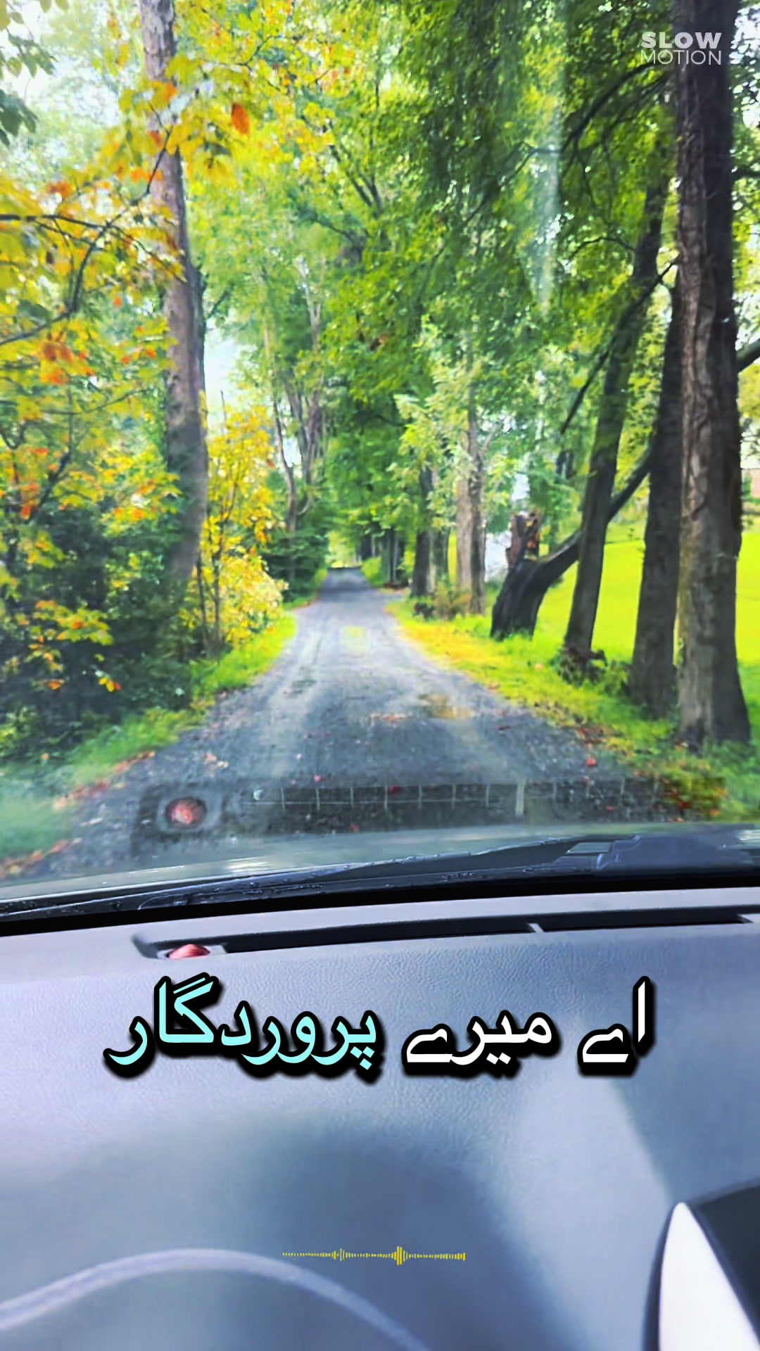 @Ali Hanan ๐บ๐ธ๐ฅฐ๐ต๐ฐ