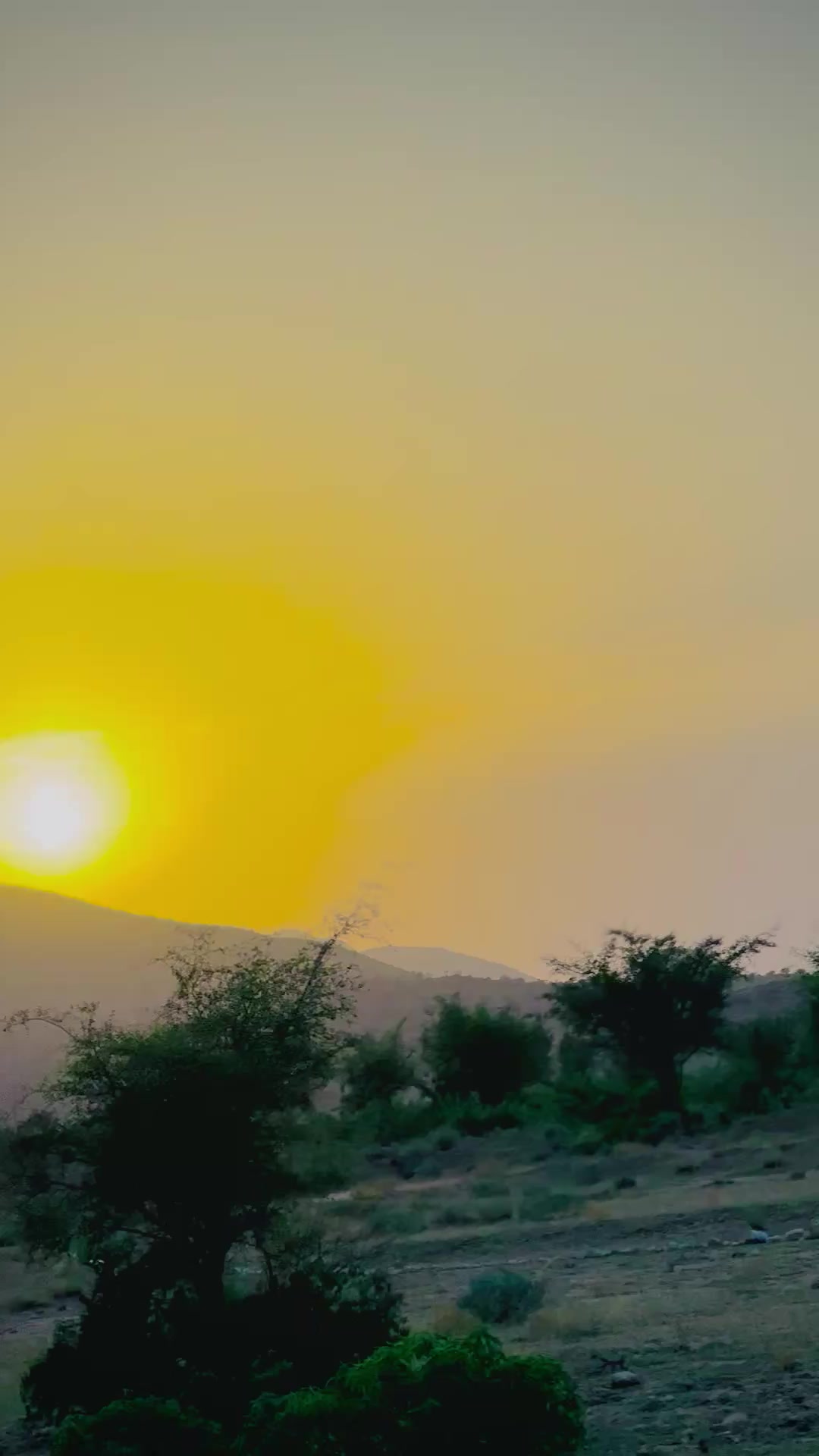 @ayankhattak804