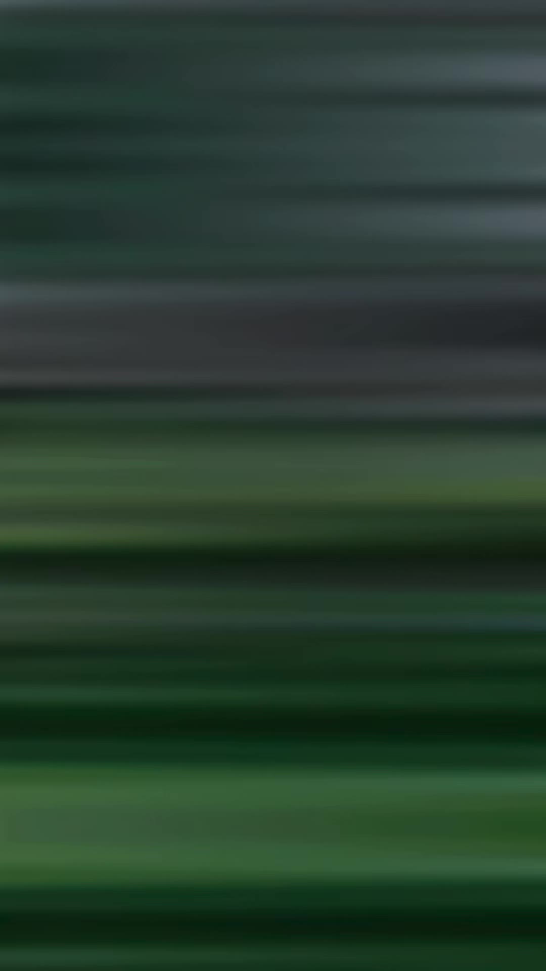 @𓆩 𝑾𝒂𝒍𝒂𝒔 𝒁𝒂𝒛 𓆪🇦🇫