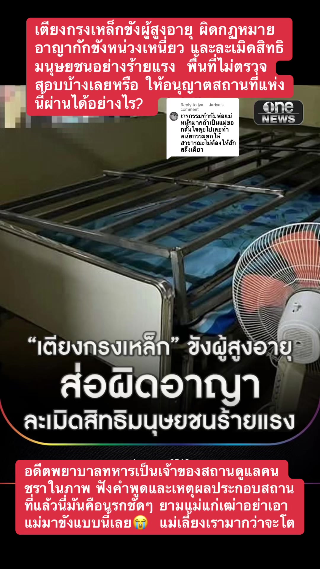 @ทาสแมว_News