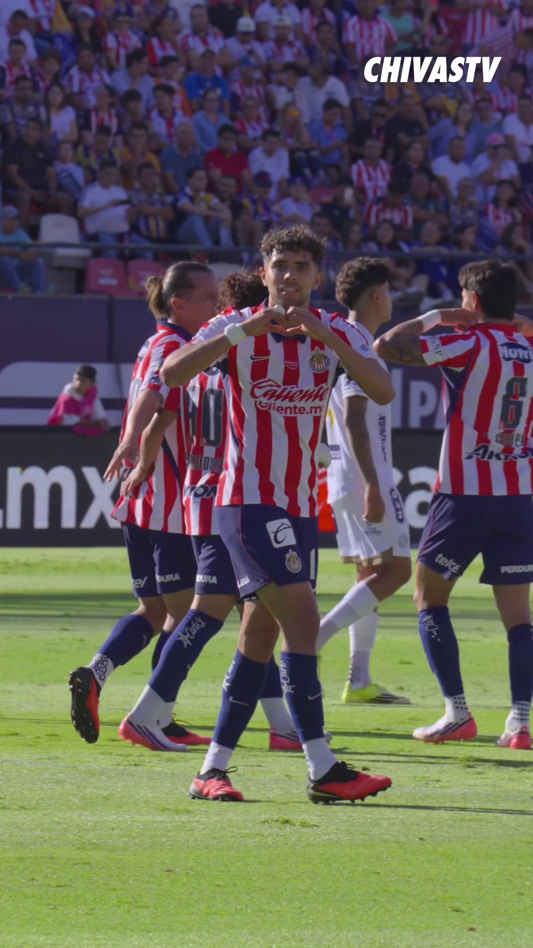 @Chivas
