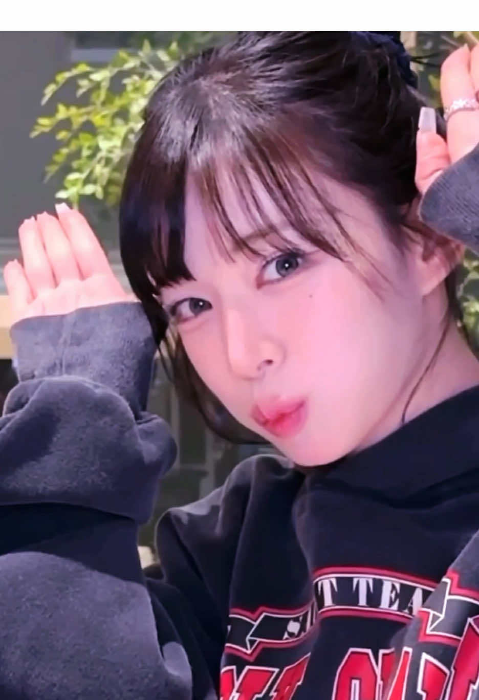 @sicpuppy