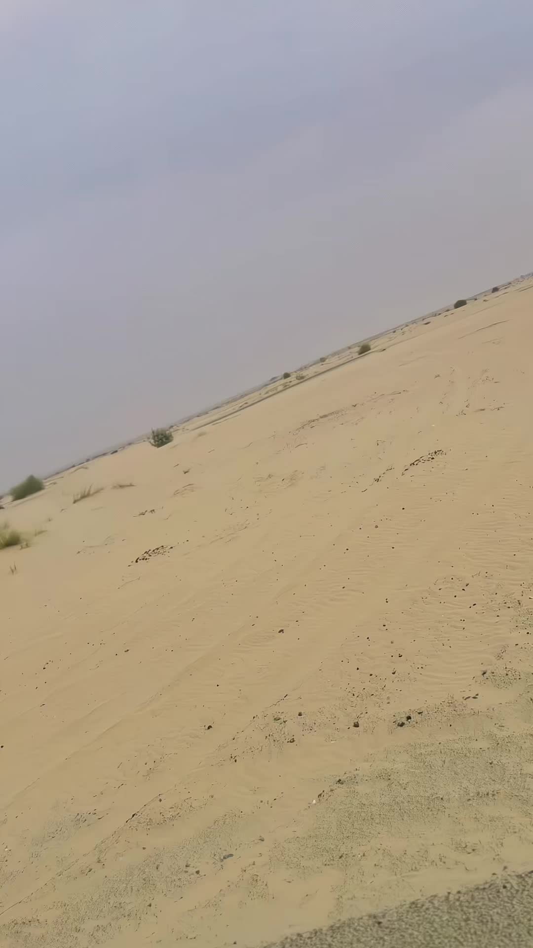 @Ahsanrokhri786