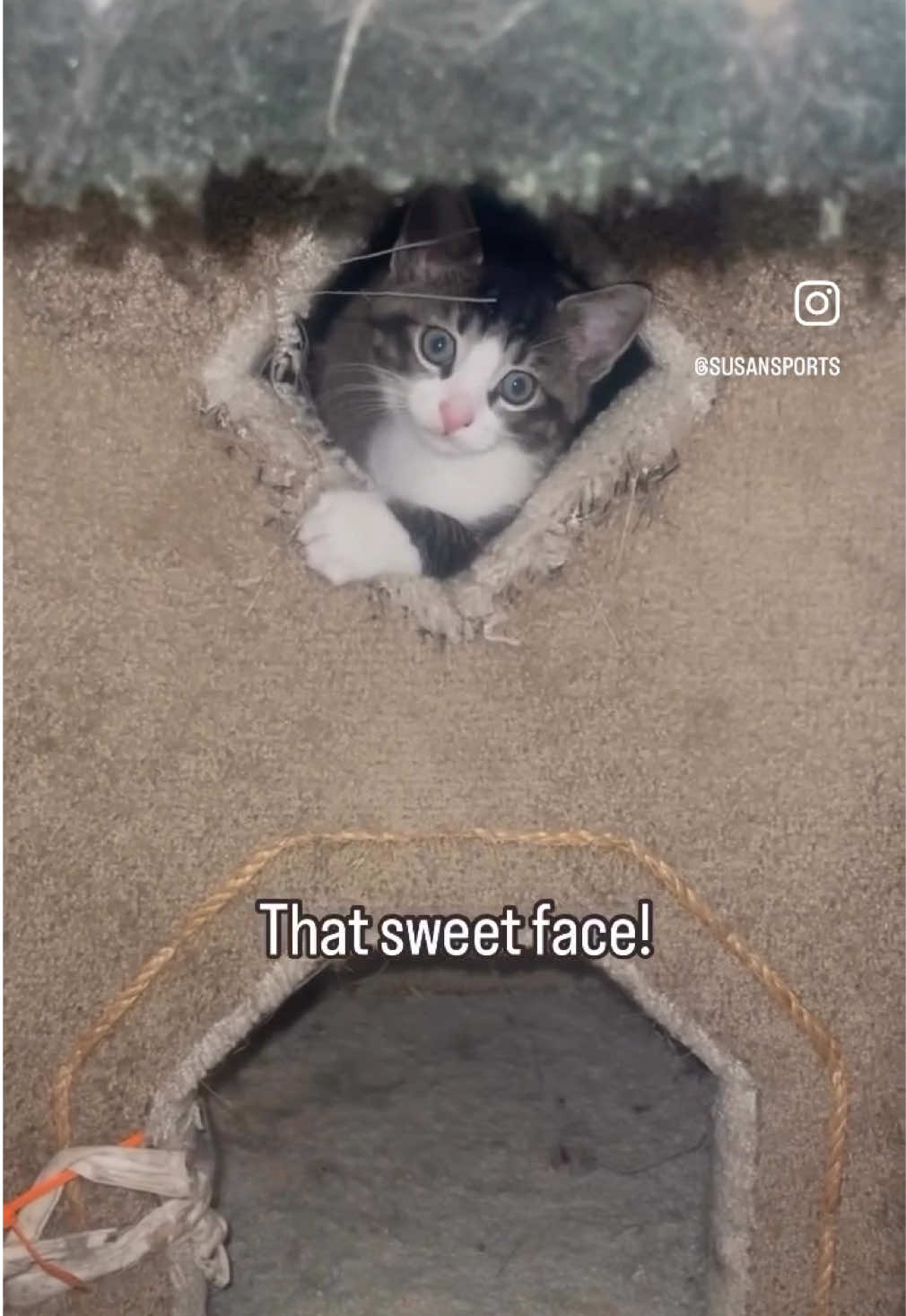 @Susan