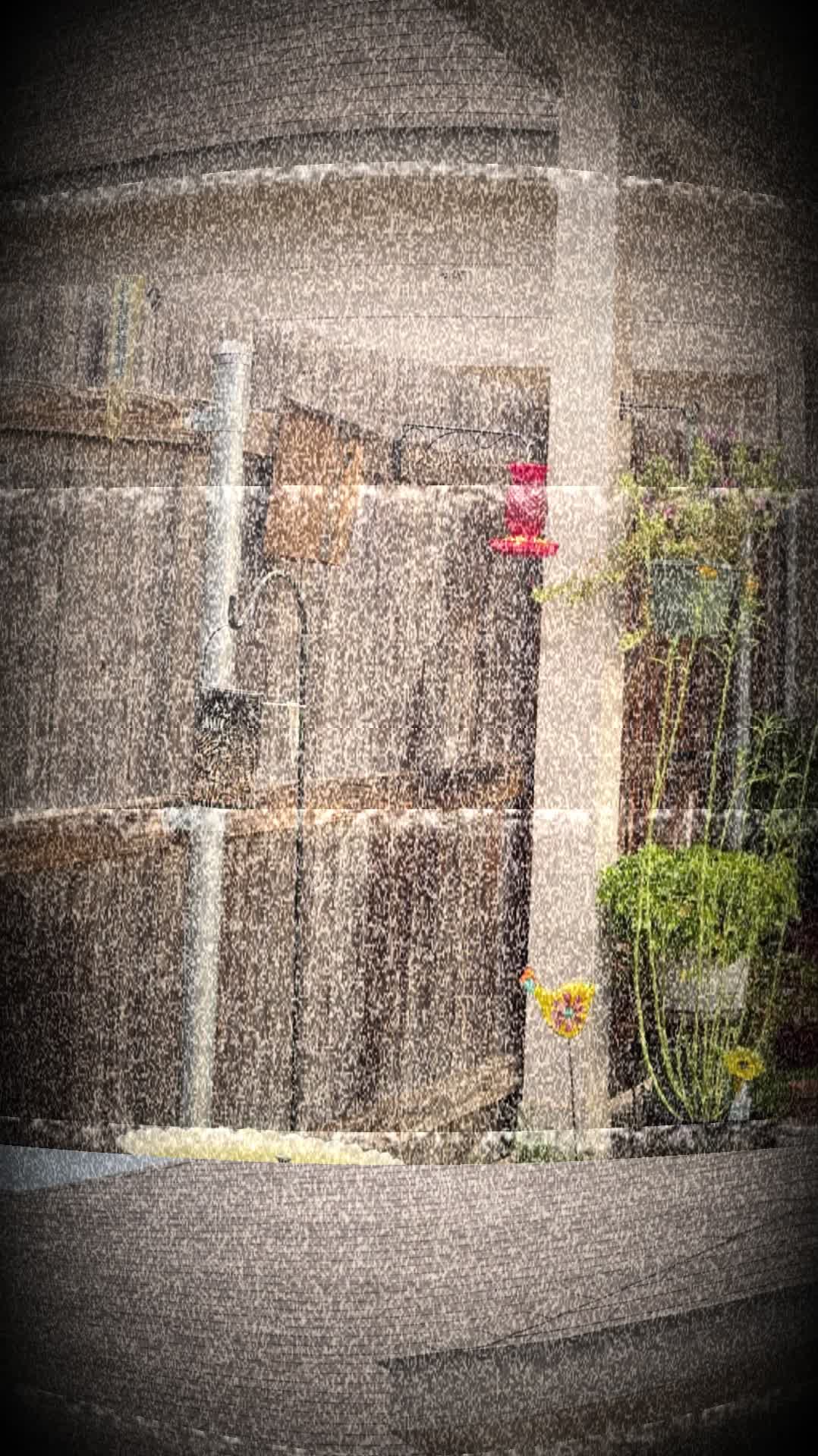@kuud_1