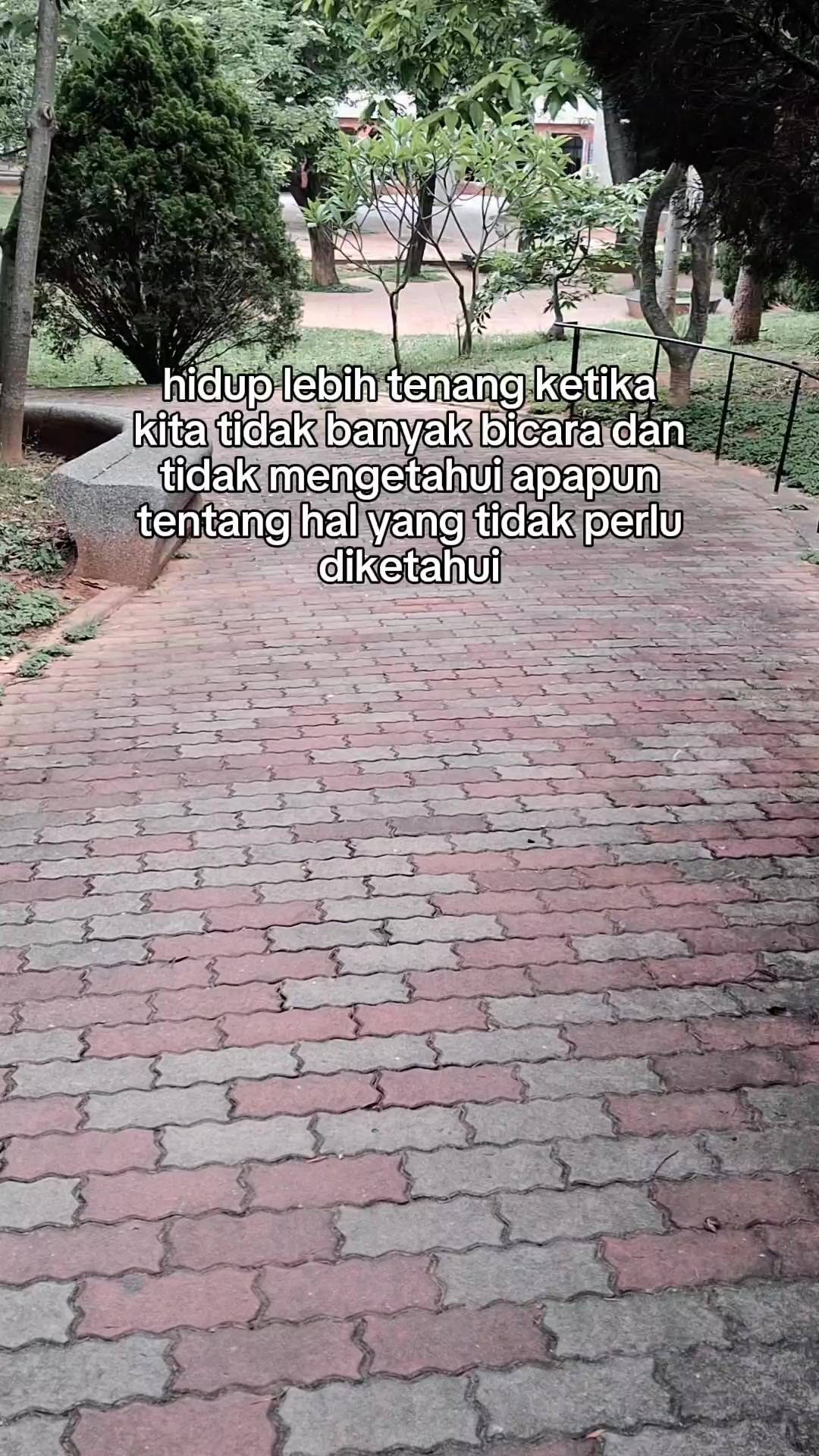 @🕊