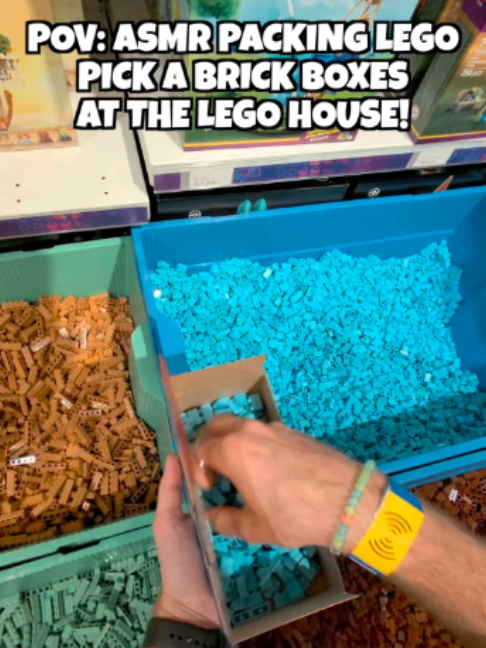 @BRICKLOVER BRAD
