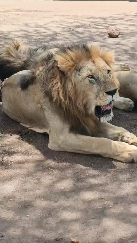@Solvo Tours and Safaris