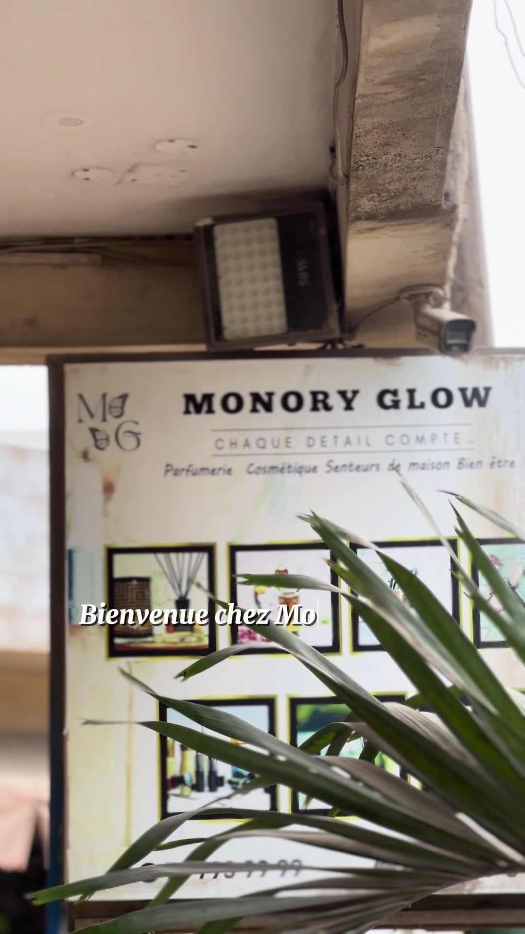 @Monory_Glow