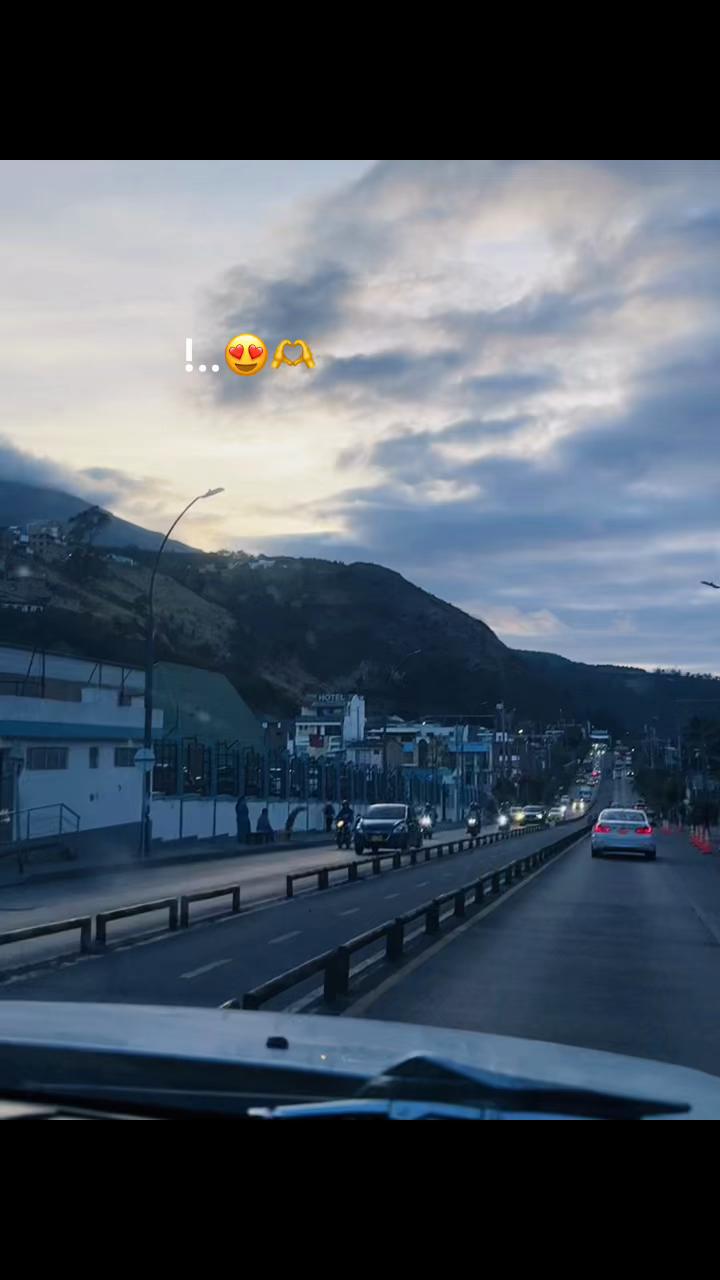 @daniela503.11