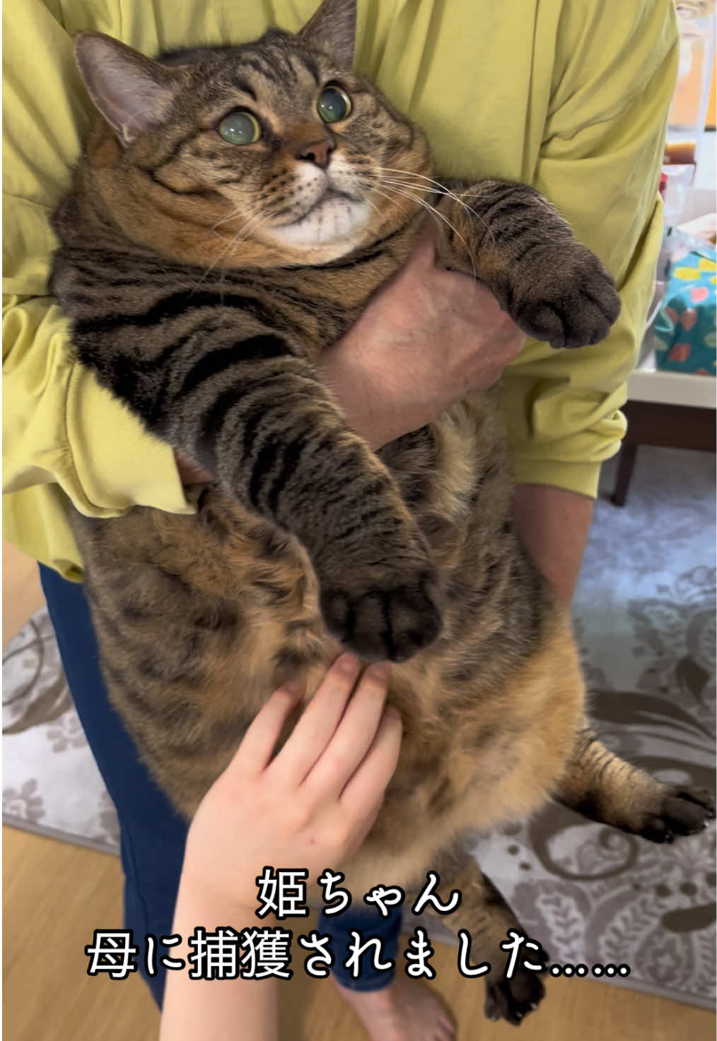 @翠
