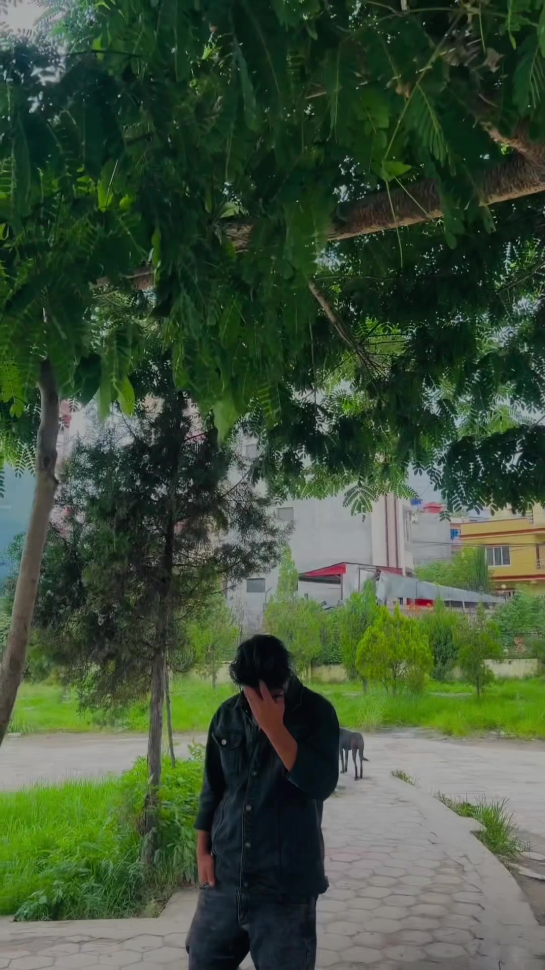 @GIRISARKAR 🕸️👽