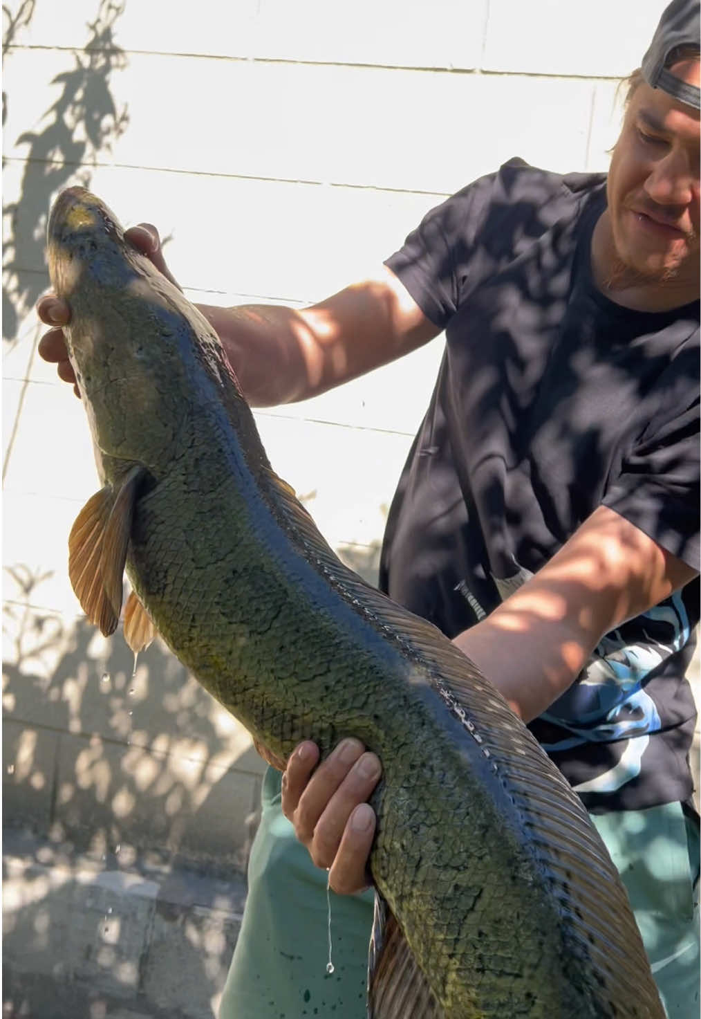 @АзиАтский СтрАнник 🦈