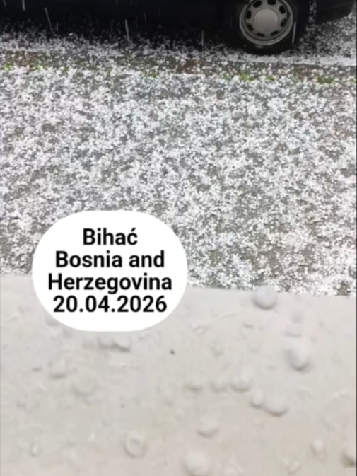 @Tetova News
