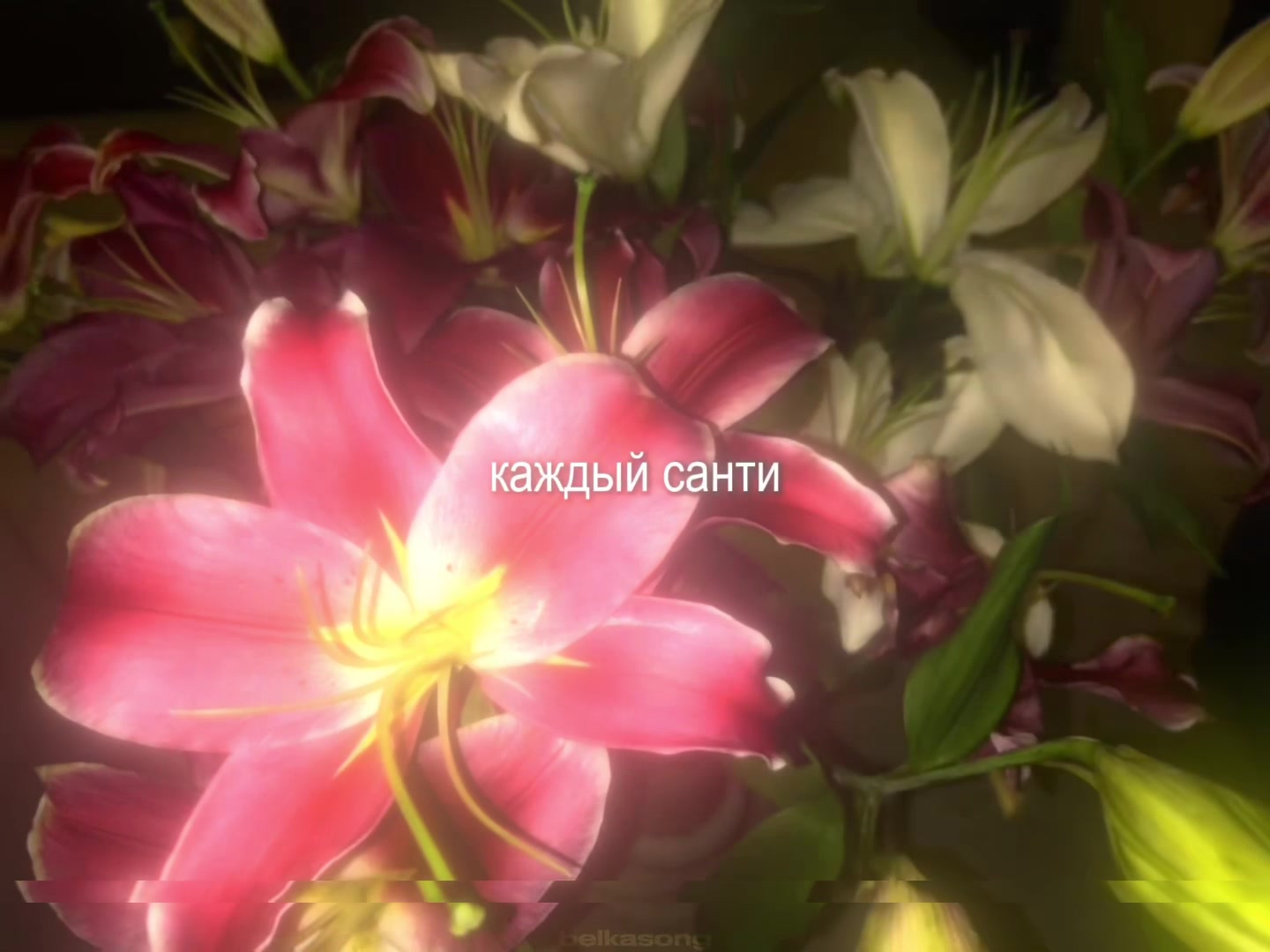 @звуки для липсингов