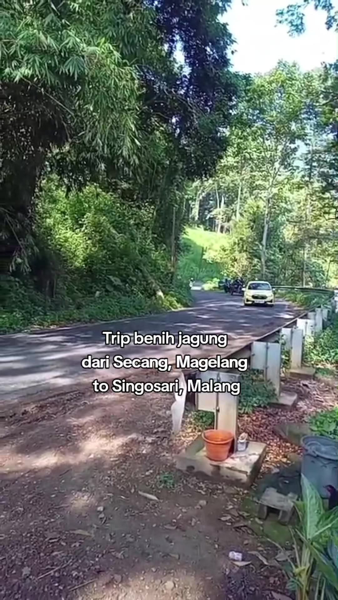@Legenda Rasamala