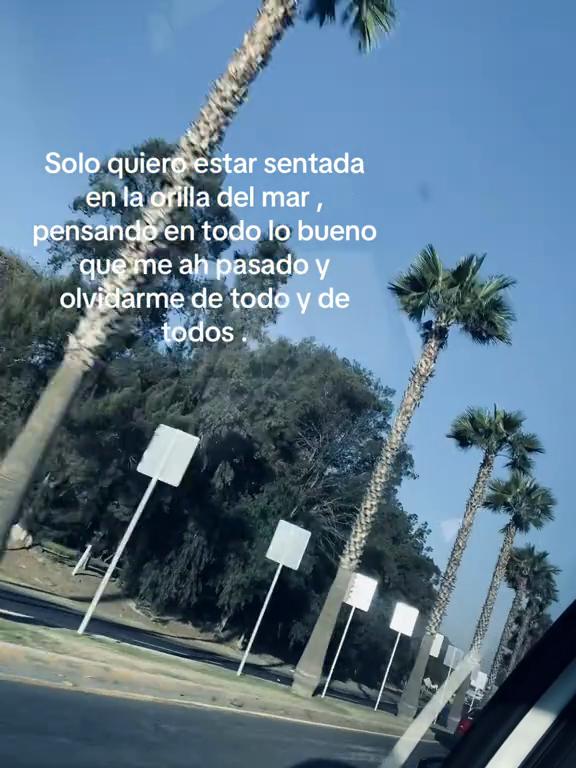 @.Aleee.