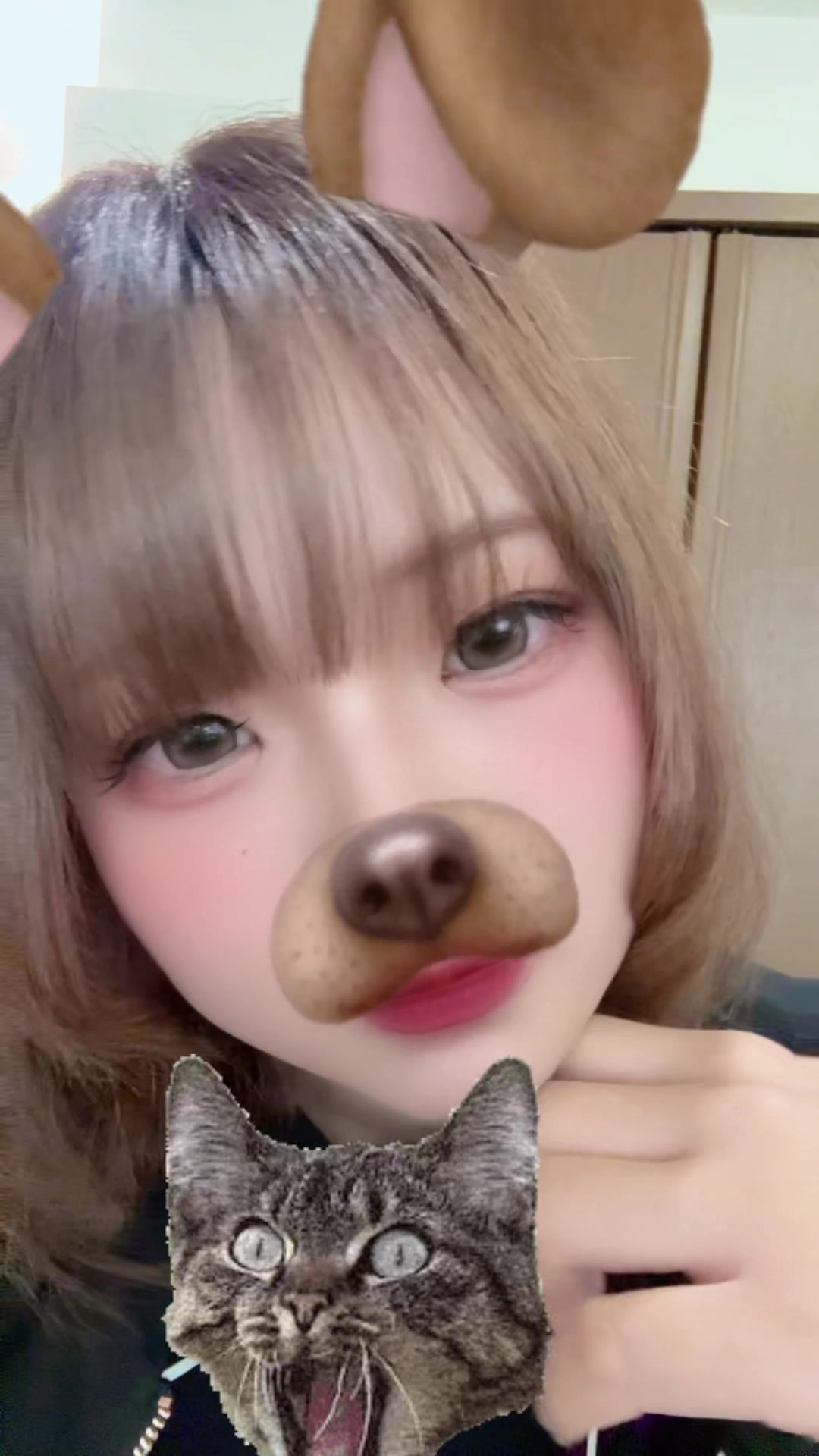 @今日、推し始めました💘