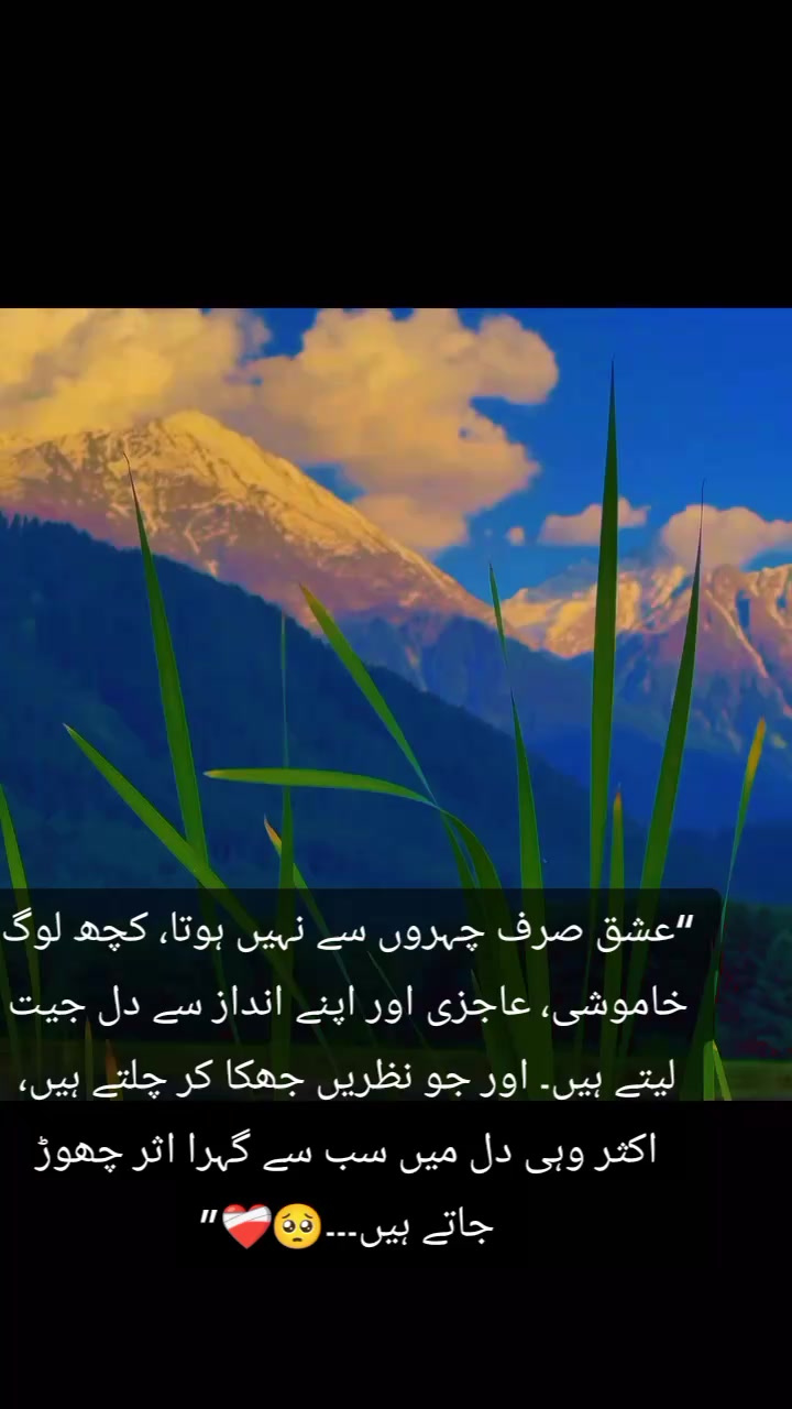 @Saim🫀