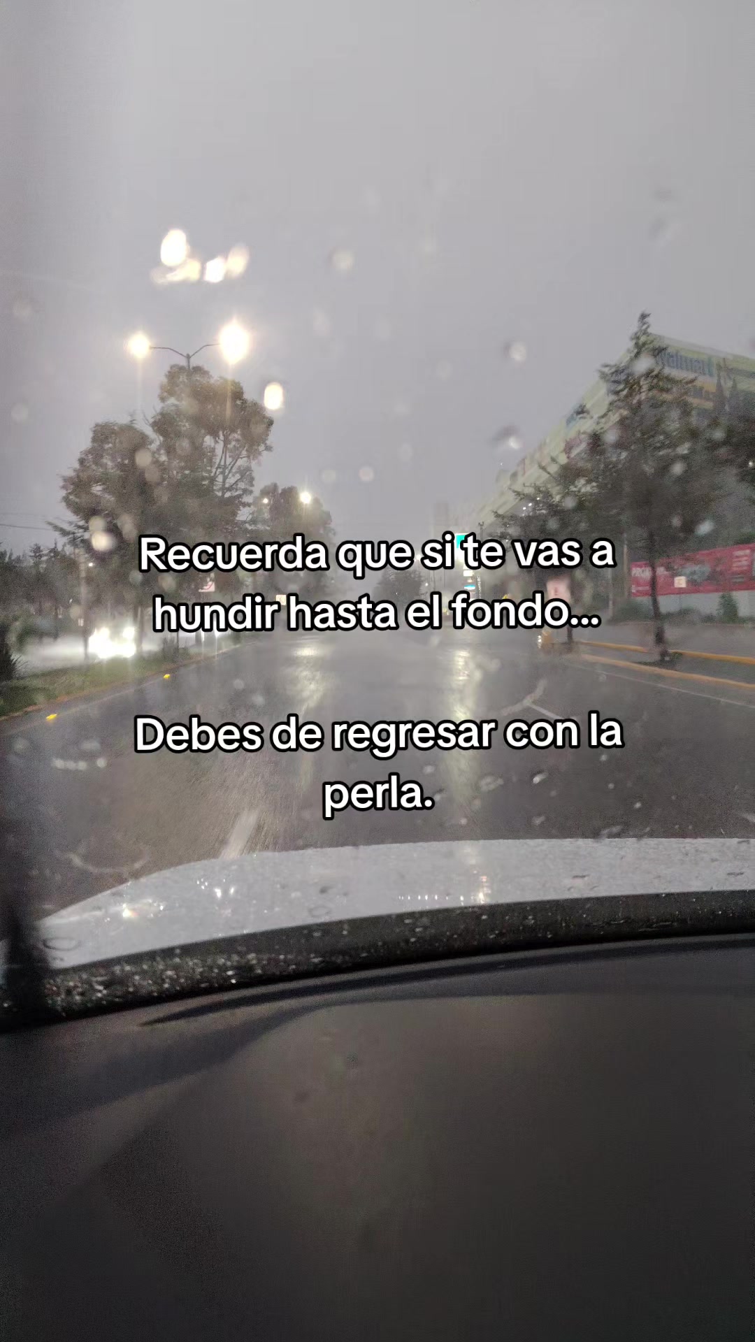 @Gerardo McQueen