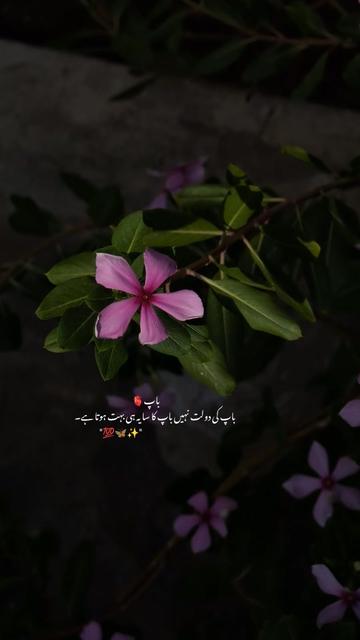 @ــــہہـ٨ــ&hearts;️ـــہہـ٨ـ