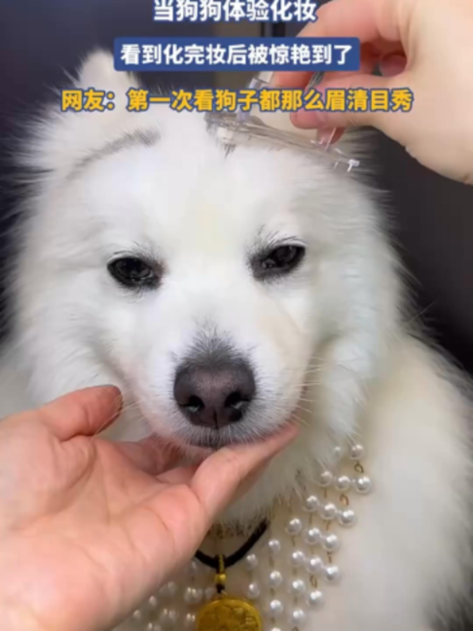 @中国蓝国际