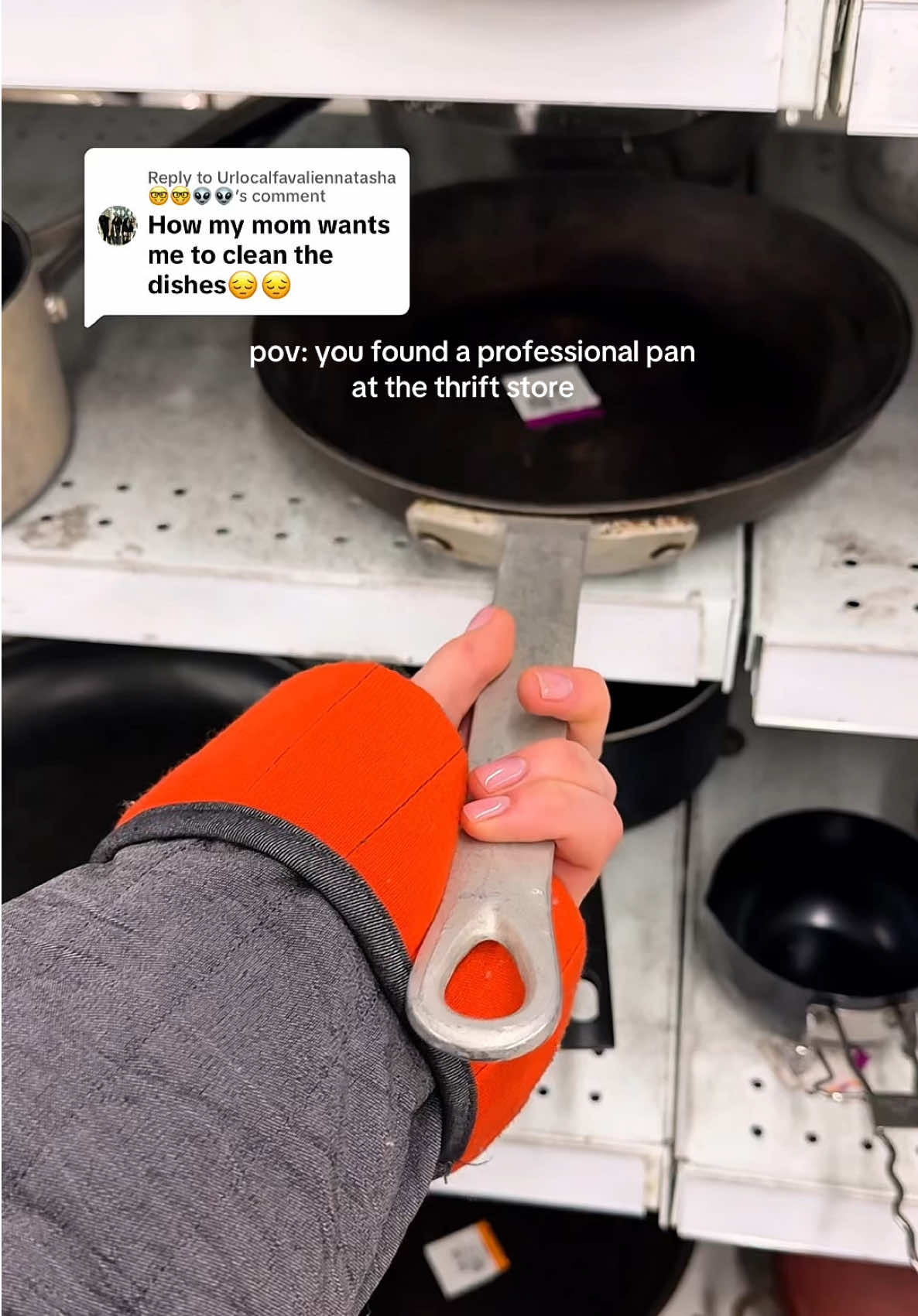 @Cozy Anastasia