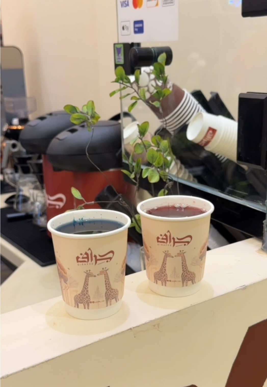 @كوفي جراف