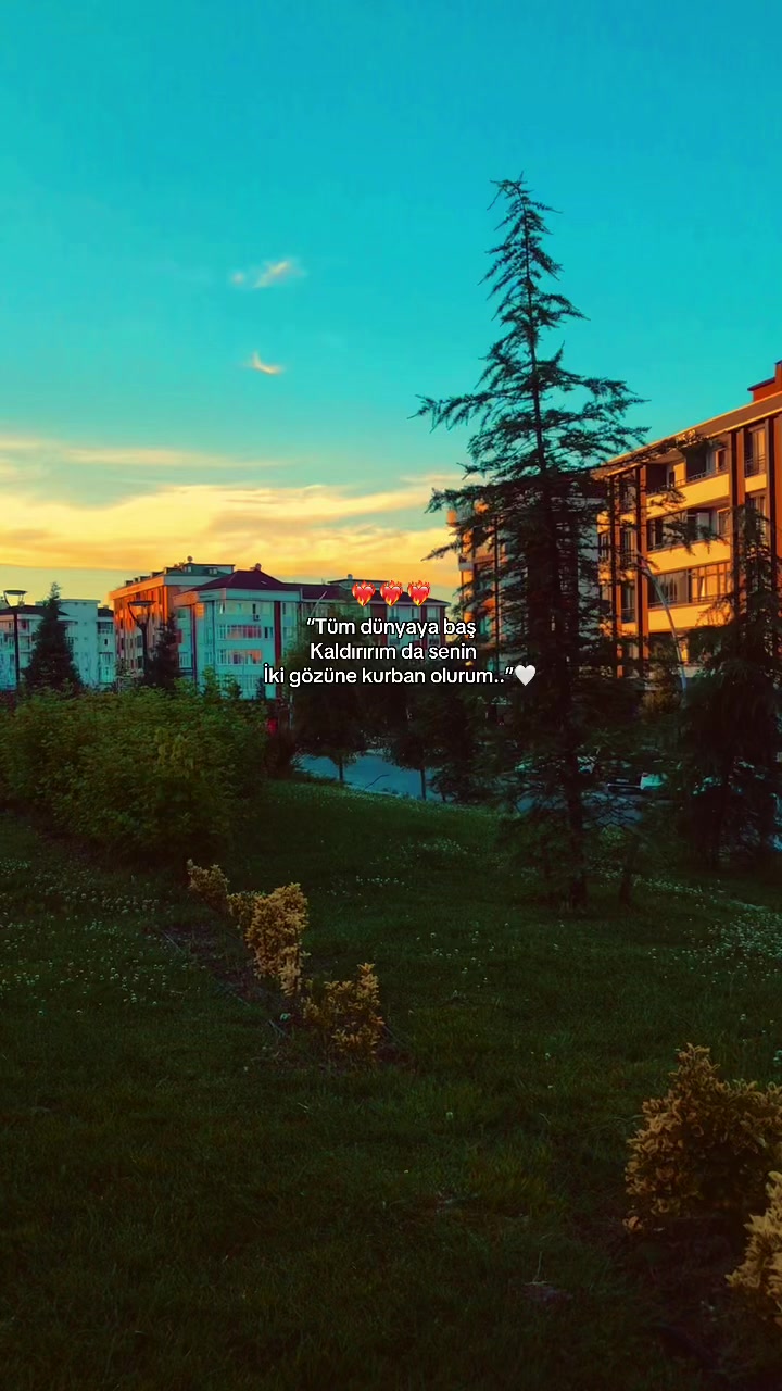 @𝑩&uuml;𝒏𝒚𝒂𝒎𝒊𝒏⚡️