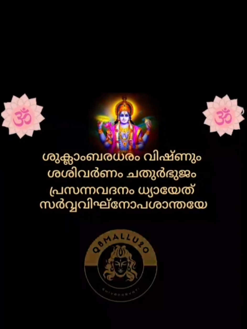 @q8mallu20