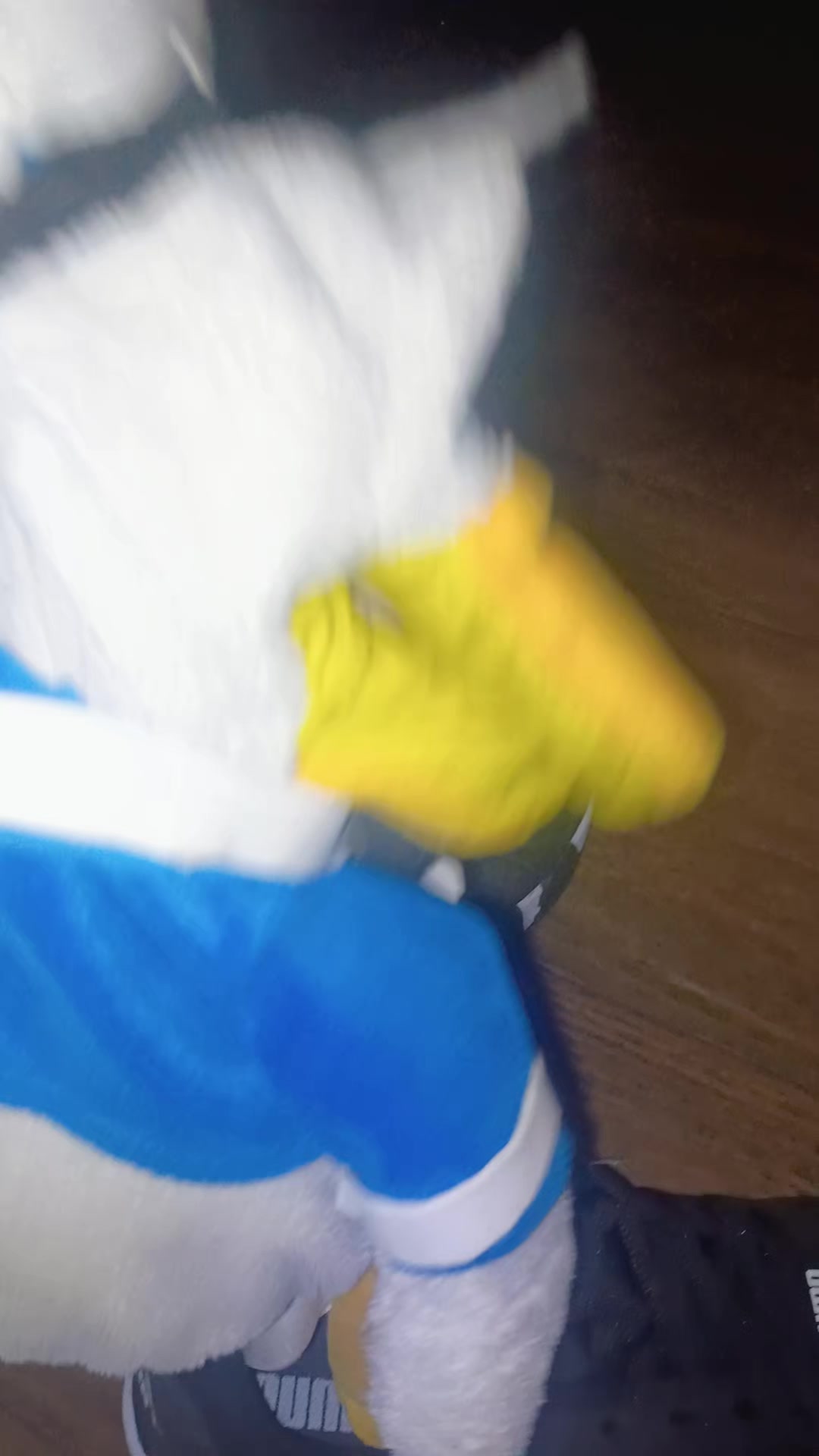 @donald duck mickey Goofy