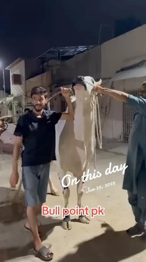 @Bullpointpk_official