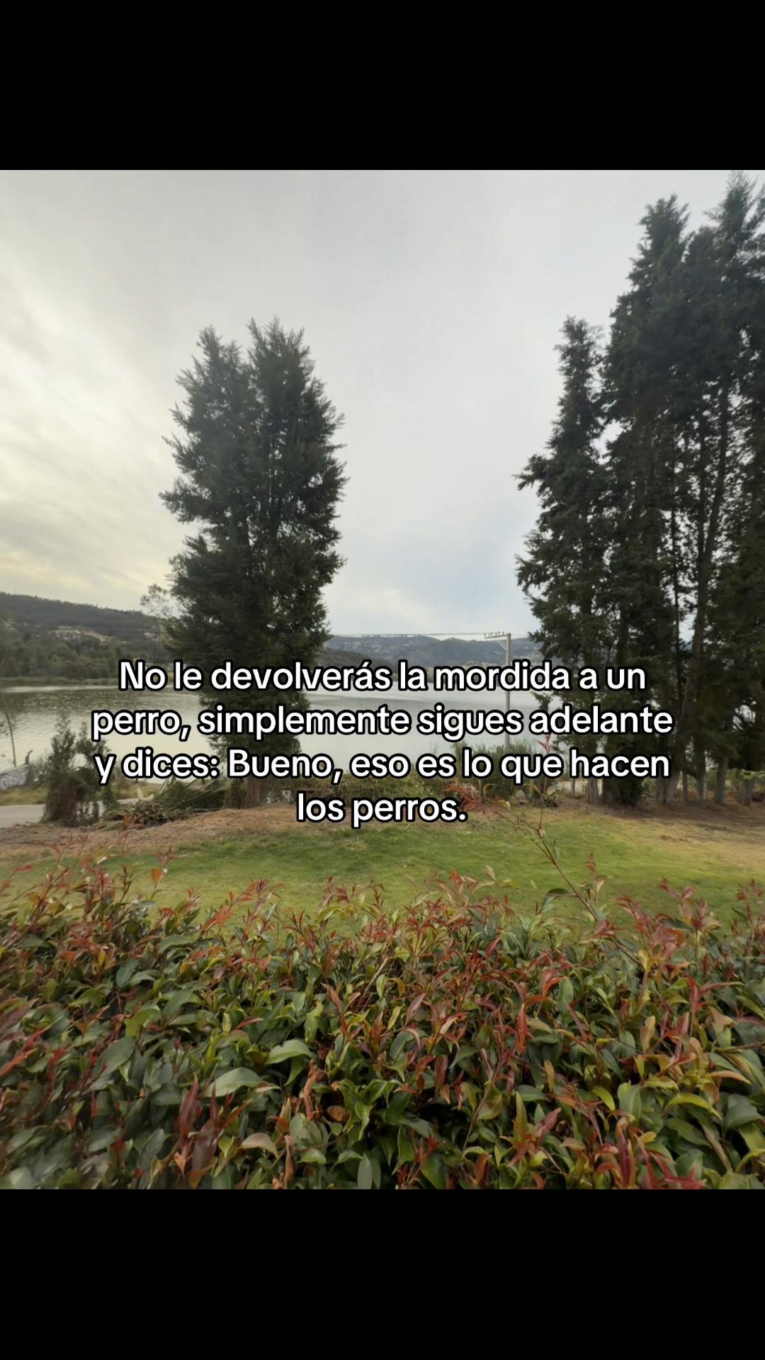 @MarcelaSaenz