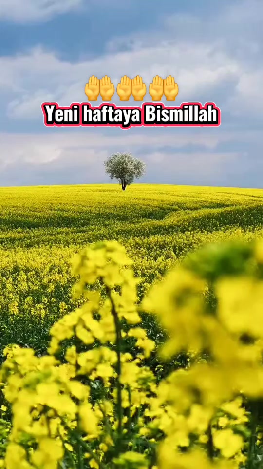 @👉👑𝐊𝐑𝐀𝐋👑👈