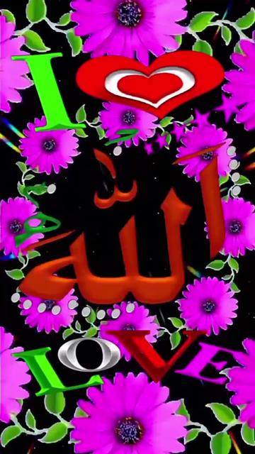 @dildarlashri2