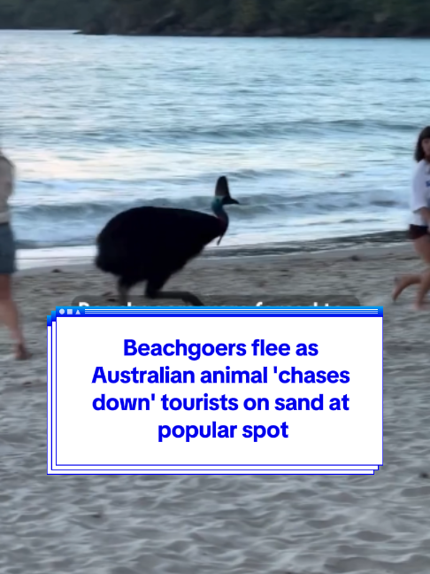 @Yahoo Australia