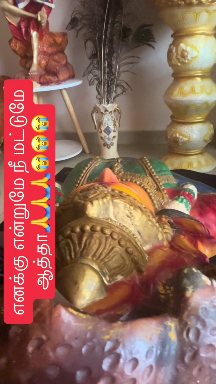 @Meera Meera M&M
