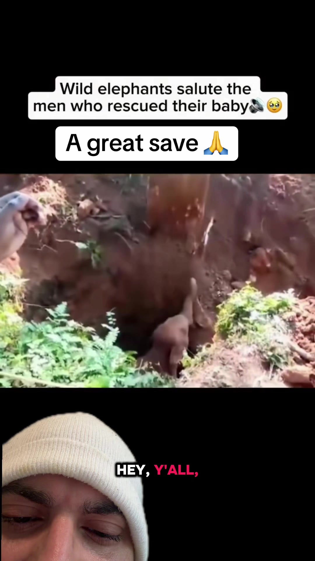 @mickystickey