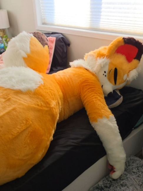 @Corgi