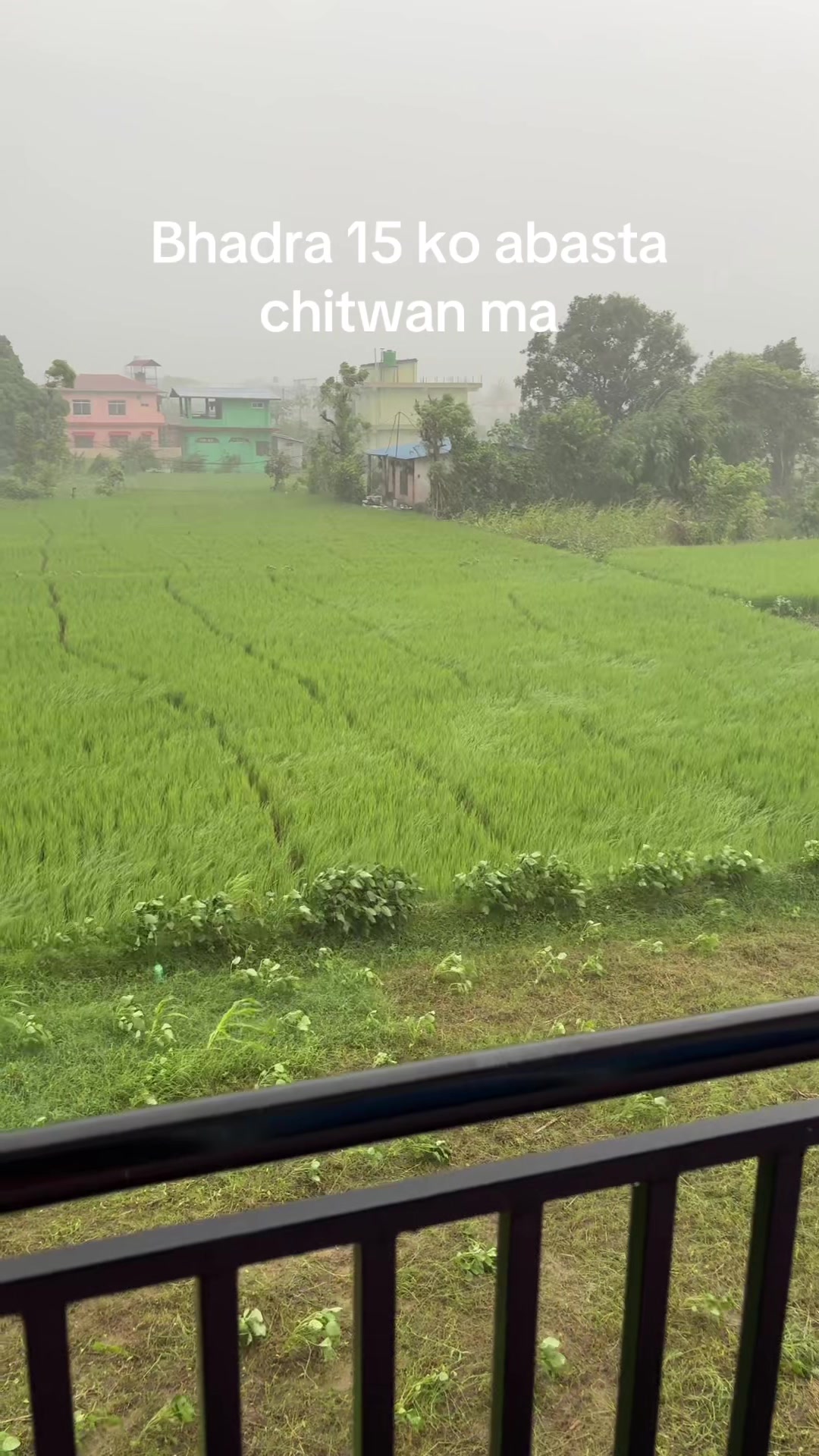 @bishnusharma123
