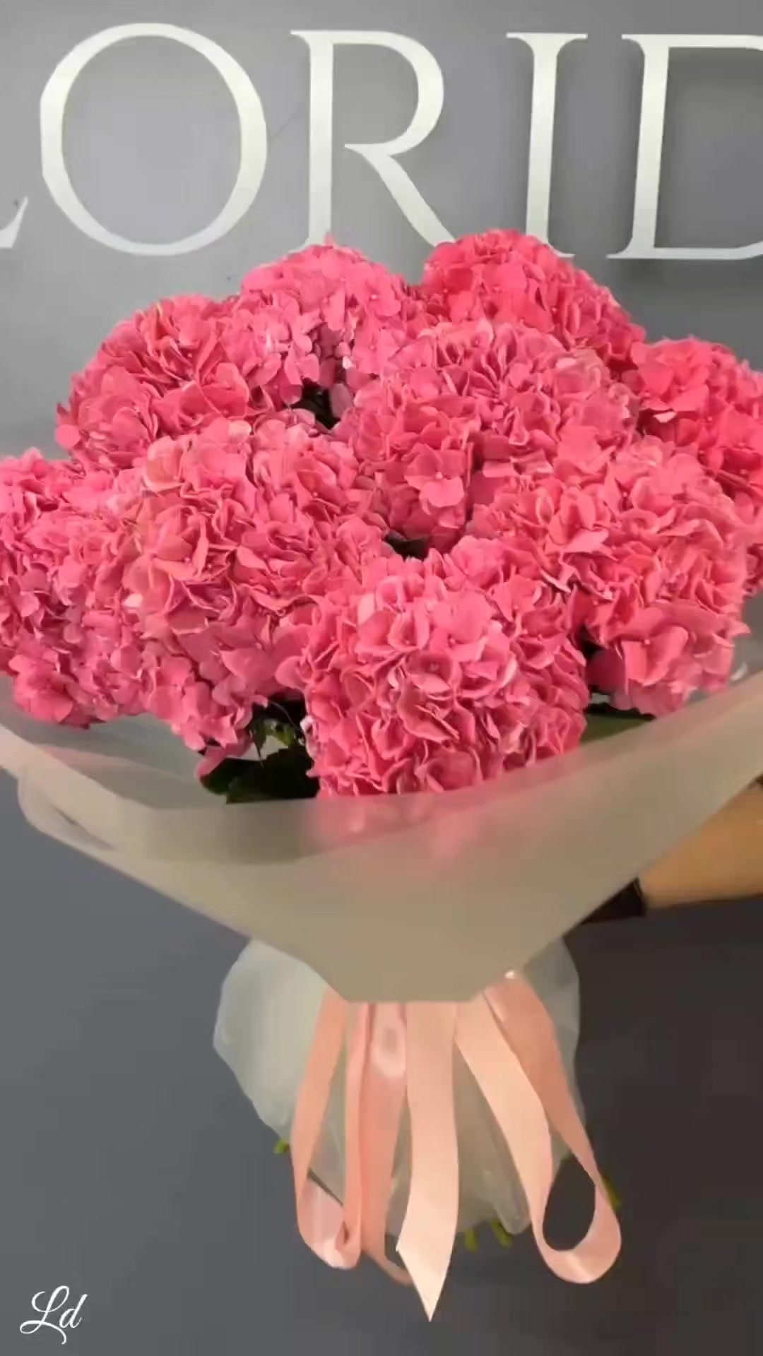 @Dominika