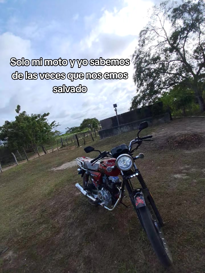 @ටᴘ┋reyes !