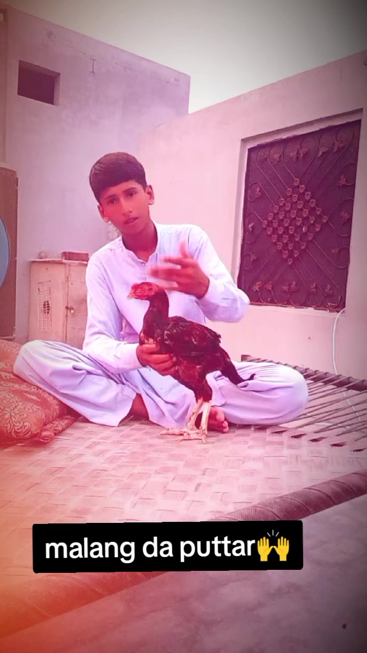 @ZAHID GUJJAR 2088