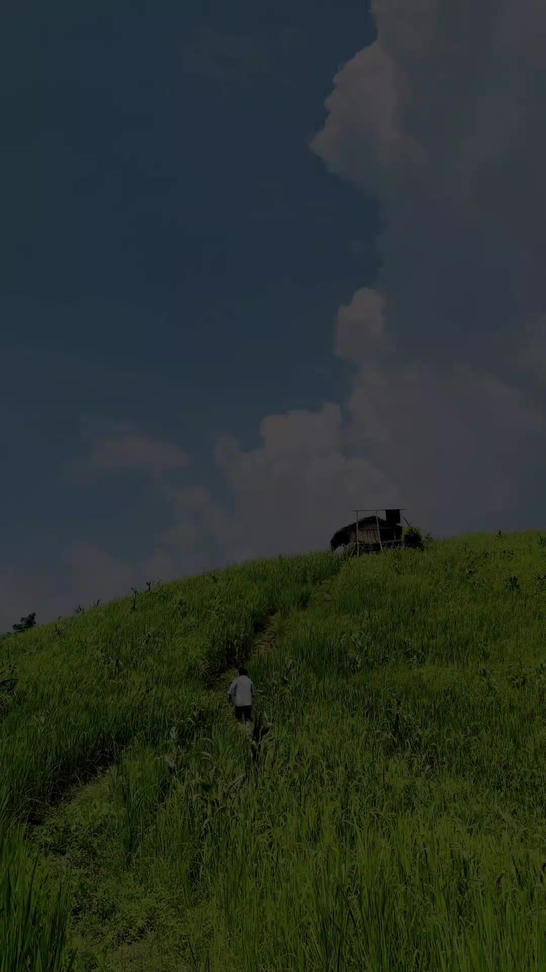 @পরিবারের বড় নবাব