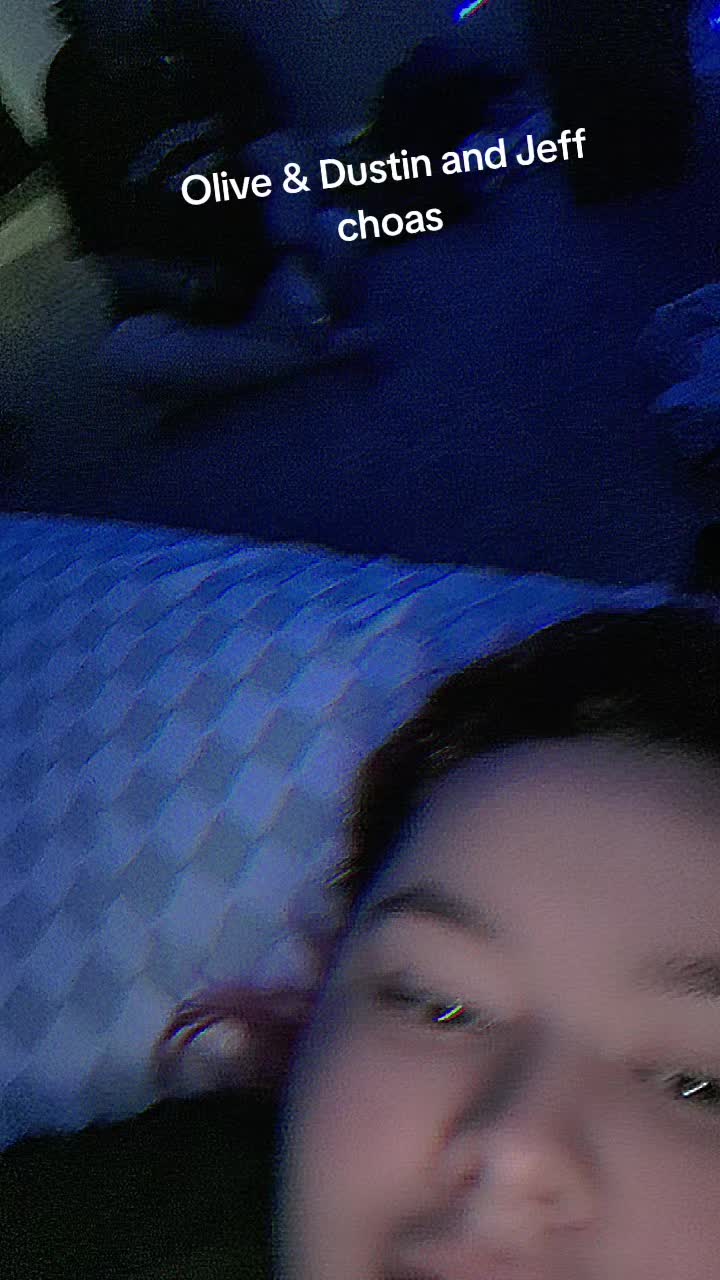 @Freaksystem