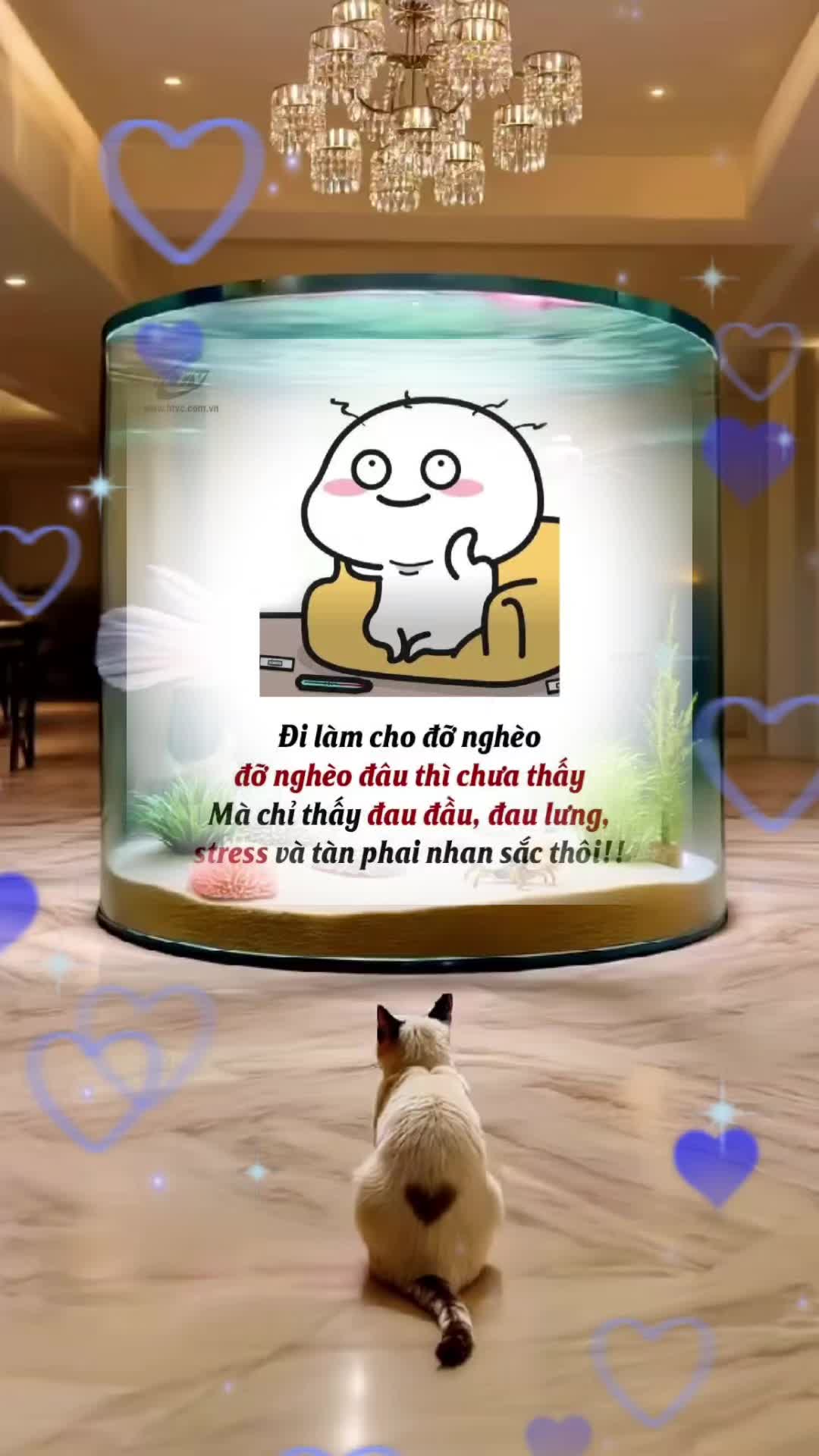 @mạnh H&ugrave;ng