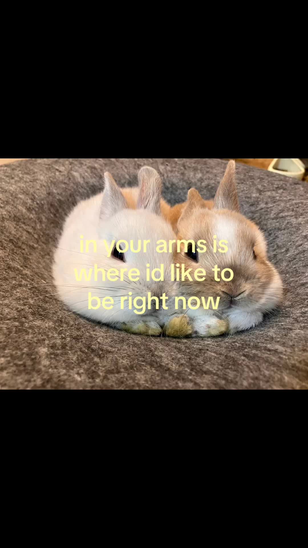 @rwnd
